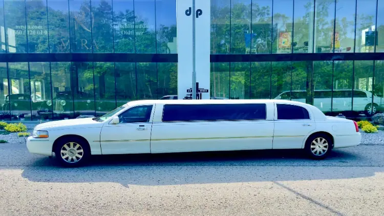 white-majesty Bild 2